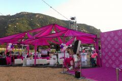 Pink Party