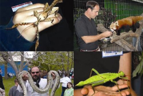 Exotic Petting Zoo « Los Angeles PartyWorks, Inc. | Equipment Rental