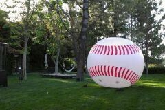 Ambrosia Dodgers
