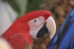 dsc0655