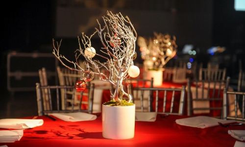 EdgecastXmas_2014_004