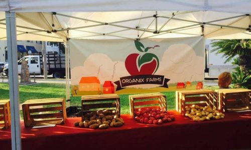 farmers-market-31-Copy