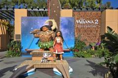 moana-event-10