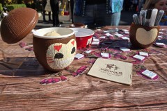 moana-event-14