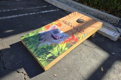 moana-event-17