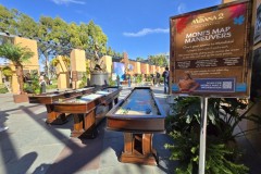 moana-event-20