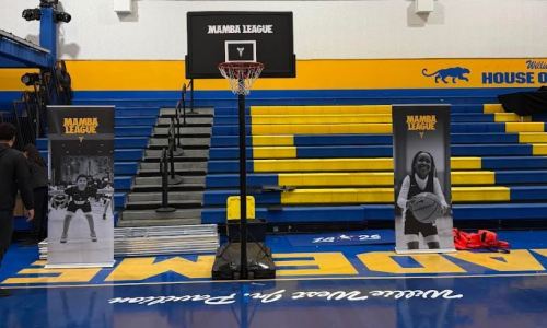 mamba-league-1