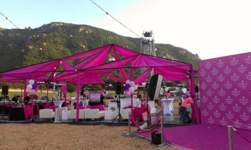 pinkparty-02