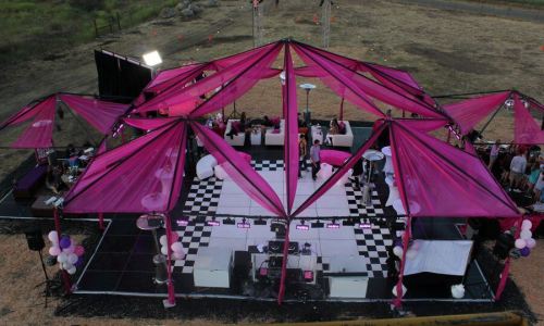pinkparty-31