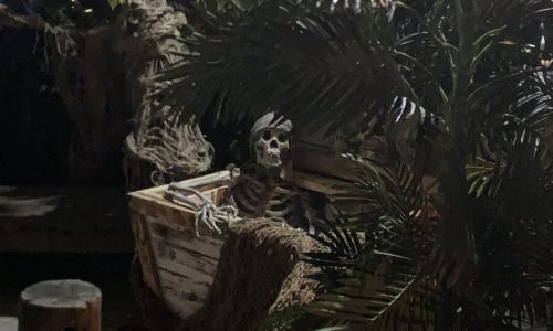 pirate-party-11