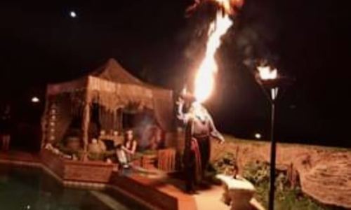 pirate-party-16