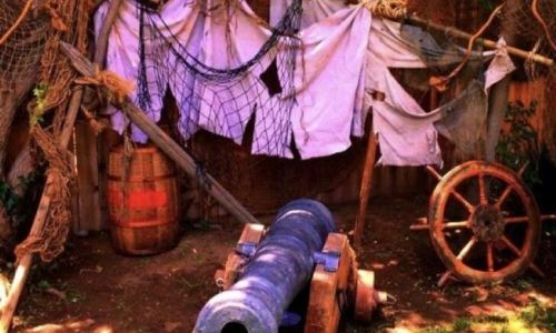 pirate-party-39