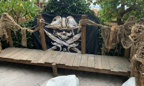 pirate-party-4