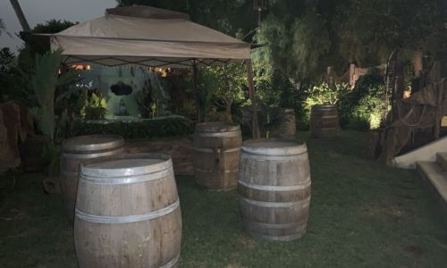 1_pirate-party-9