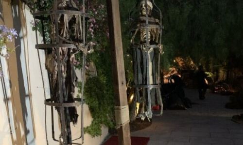 pirate-party-5