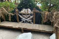 pirate-party-4