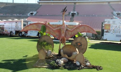 IMG_3100-Large