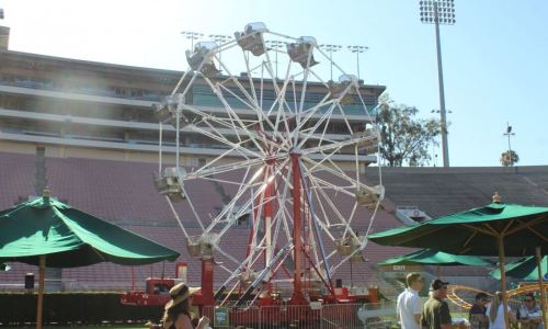 IMG_3109-Large