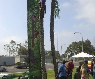 palm-tree-climb-2
