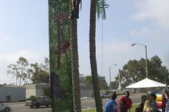 palm-tree-climb-2
