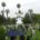 Giant Easter Bunny