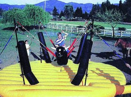 Bungee Bull