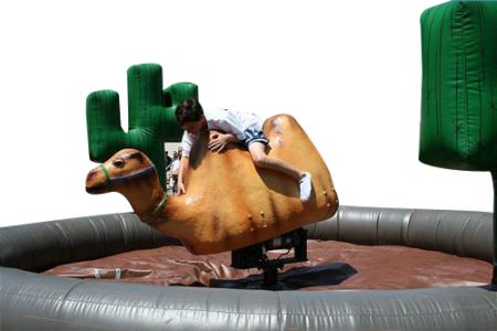 Camel Ride