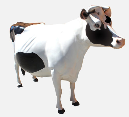 Cow Prop