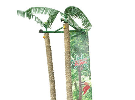Coconut Rock Wall