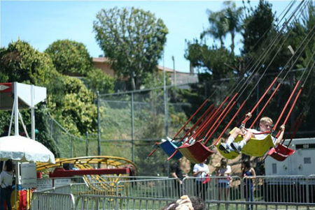 Swing Chair