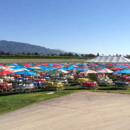 Market Umbrellas