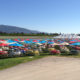 Market Umbrellas