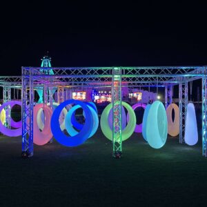 LED Swings Rental