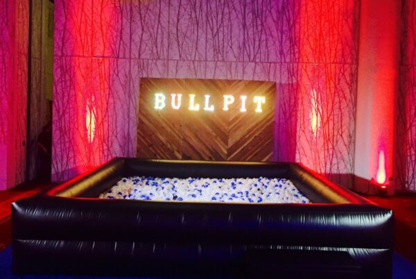 Ball Pit Rental - Image 9