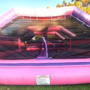 Big Bounce Bouncer