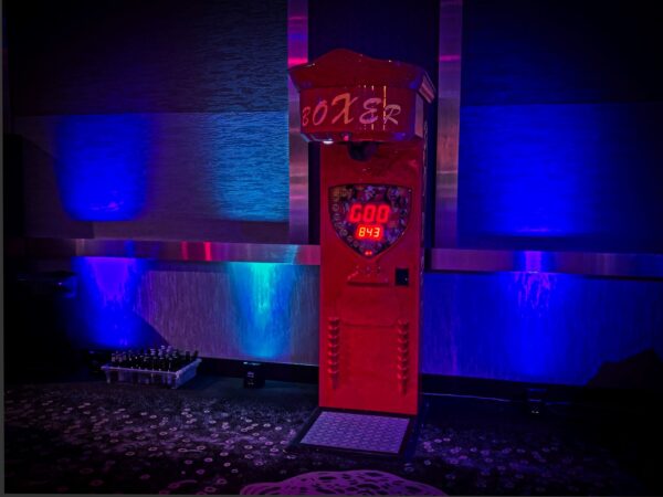EQ Punch Out — Boxing Punching Bag - Image 2