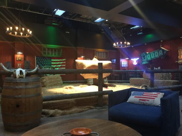 Mechanical Pro Bull w/Mats