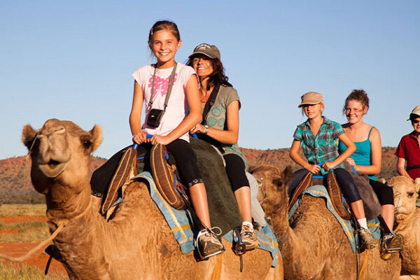 Camel Rides with Real Camels