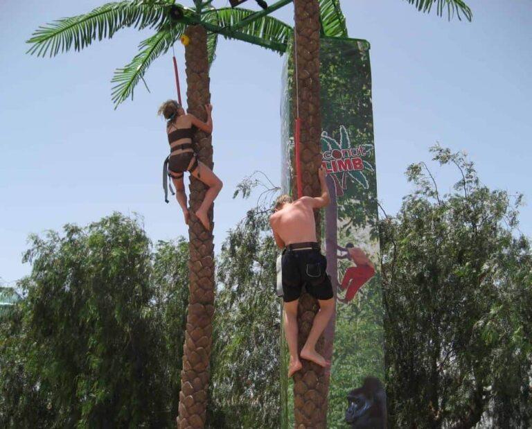 Coconut Tree Climb Rockwall / Palm Tree Climb Rental