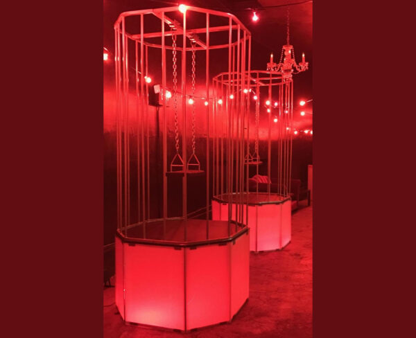Dancing Cage Rental - Image 2