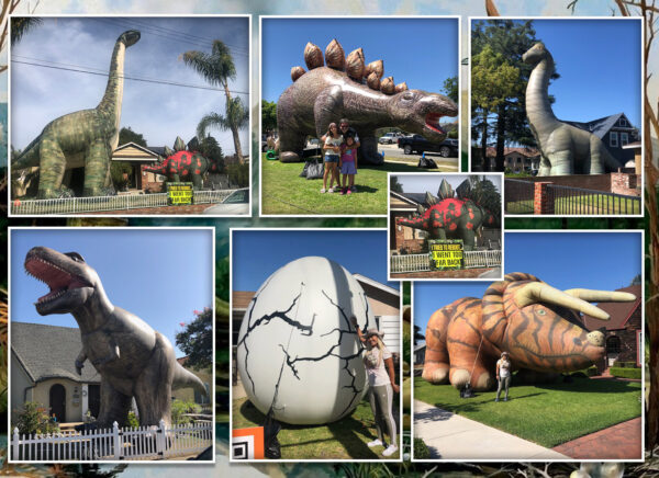 Dinosaur Inflatables ( Giant )