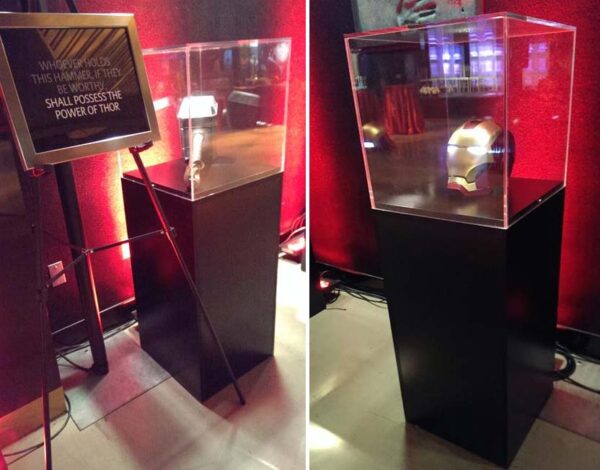 Display Case - Image 5