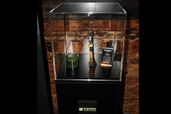 Display Case - Image 4