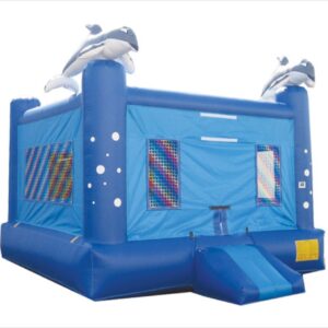 Dolphin Bounce