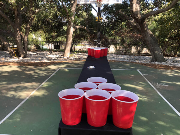 Beer Pong ( Large ) - Image 2