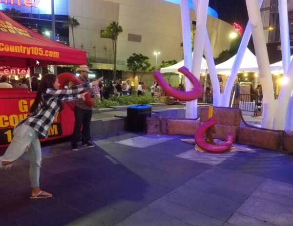 Giant Horse Shoe Game