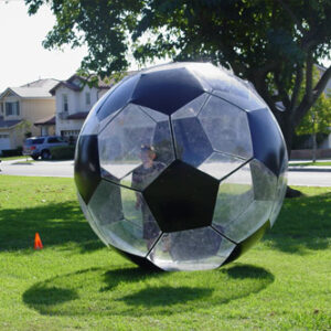 Human Soccer