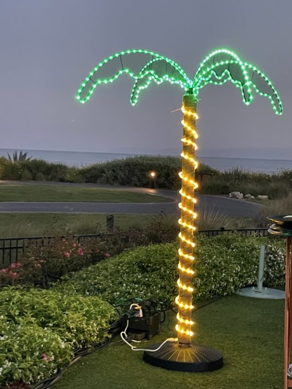 LED Palm Trees Rental
