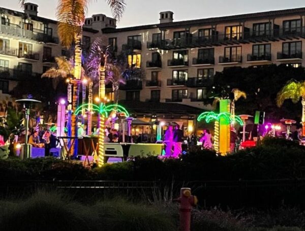 LED Palm Trees Rental - Image 2