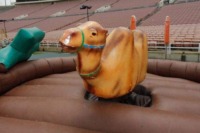 Mechanical Camel